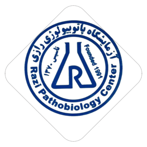 برندهای که افتخار همکاری با آنها را داشته ایم